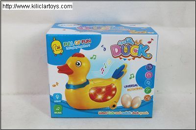 KUTULU PİLLİ YUMURTLAYAN ÖRDEK